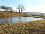 dscn0384.jpg